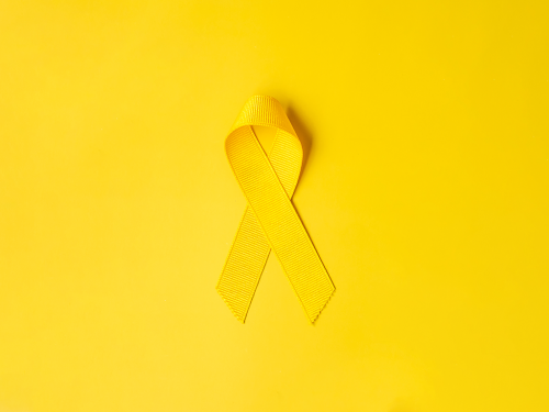 Setembro Amarelo. Sobre o Suicídio.